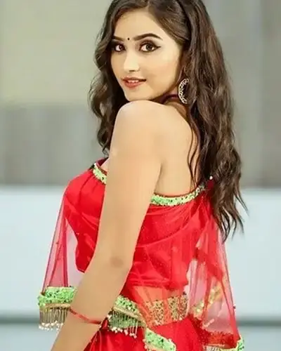 Escort In Nabha